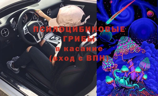 PSILOCYBIN Алзамай