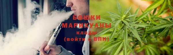 PSILOCYBIN Алзамай