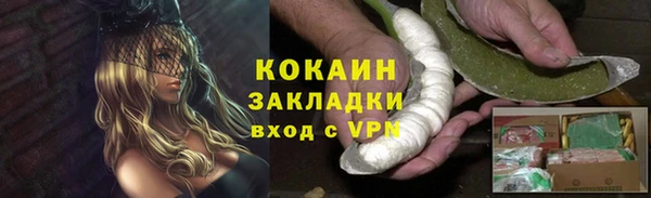 ГАЛЛЮЦИНОГЕННЫЕ ГРИБЫ Алексин