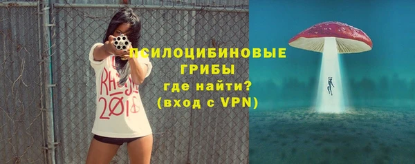 гашик Сатка