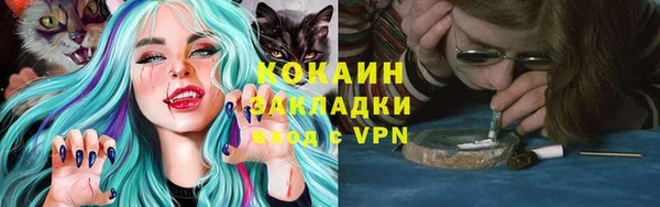 ГАЛЛЮЦИНОГЕННЫЕ ГРИБЫ Алексин